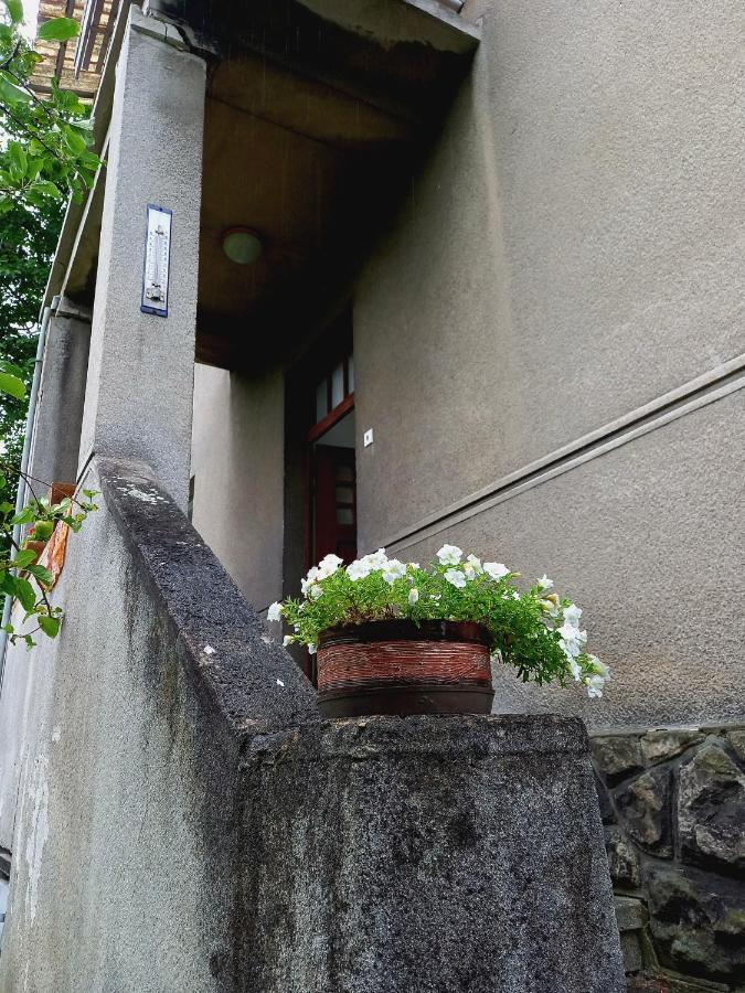 Vila Kotlarska Decin Esterno foto